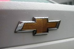 被車標(biāo)毀了的5個(gè)汽車品牌，第